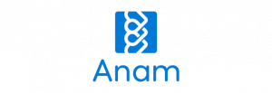 Ianam - Estrategia de marketing Miriam Ballester