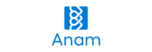 Ianam - Estrategia de marketing Miriam Ballester